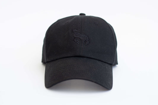 Black Dad Hat