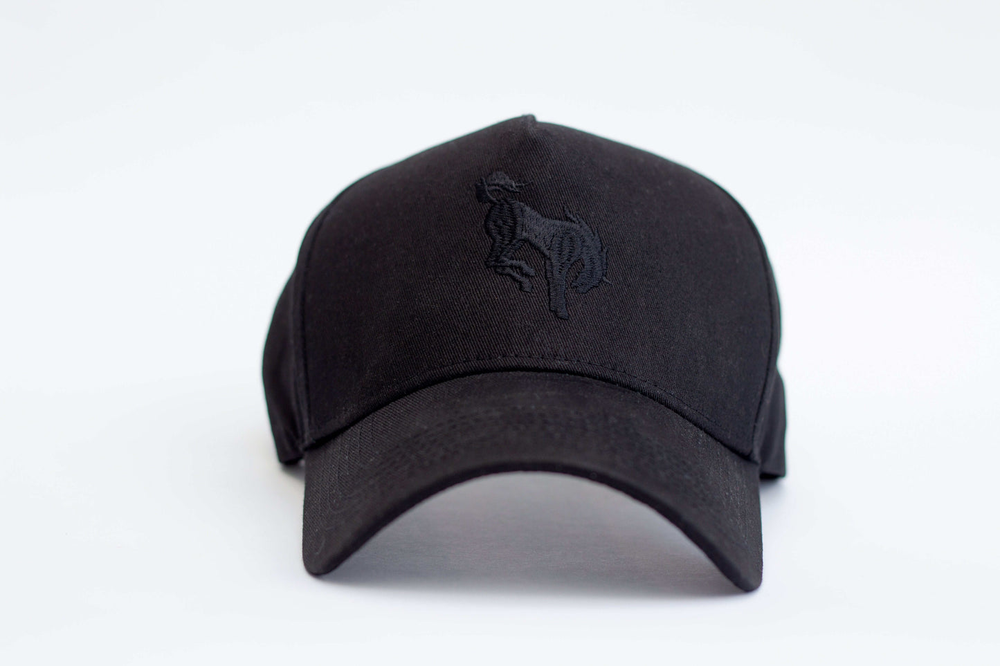 Black Snapback