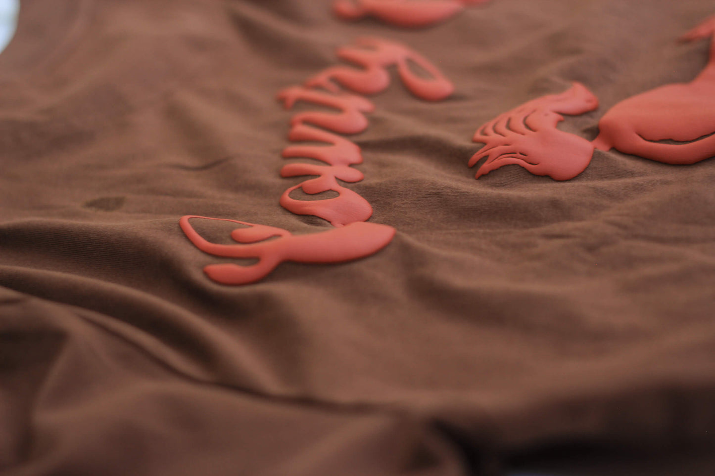 Brown T-Shirt