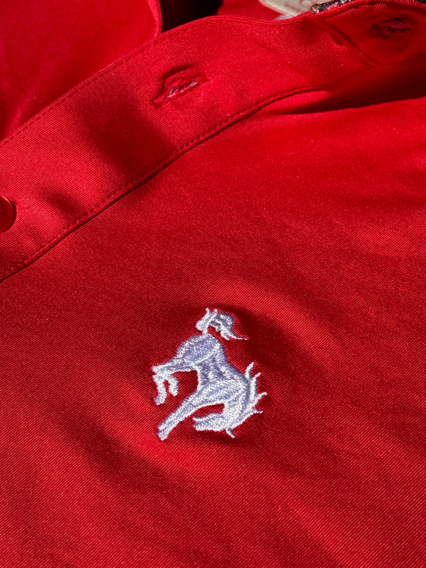 Red Polo