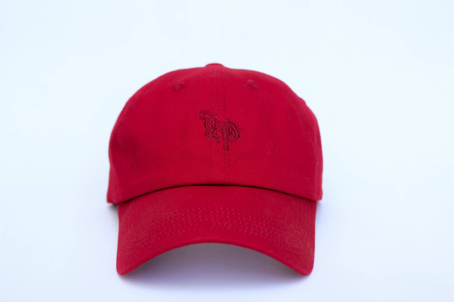 Red Dad Hat
