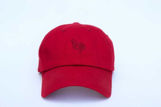 Red Dad Hat